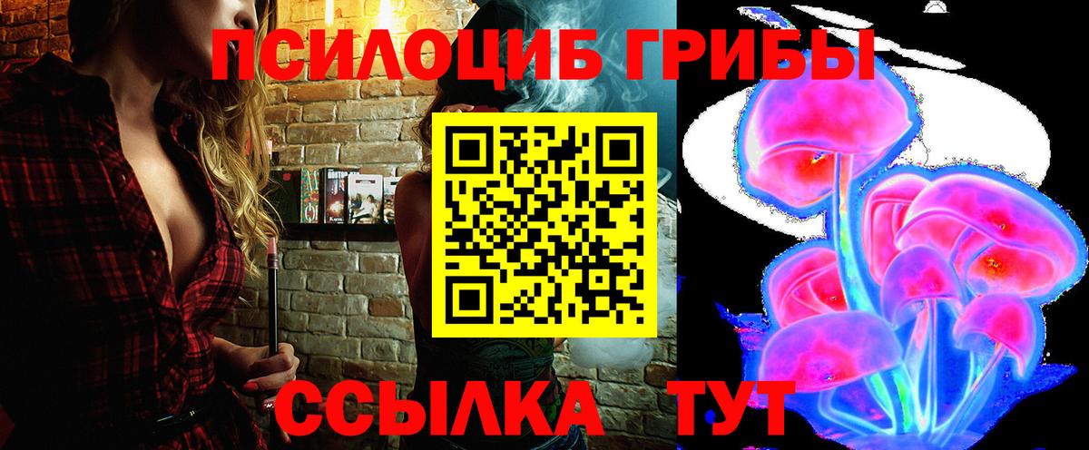 Галлюциногенные грибы Psilocybine cubensis  Галлюциногенные грибы прущие грибы  Вход с VPN  Чернушка 