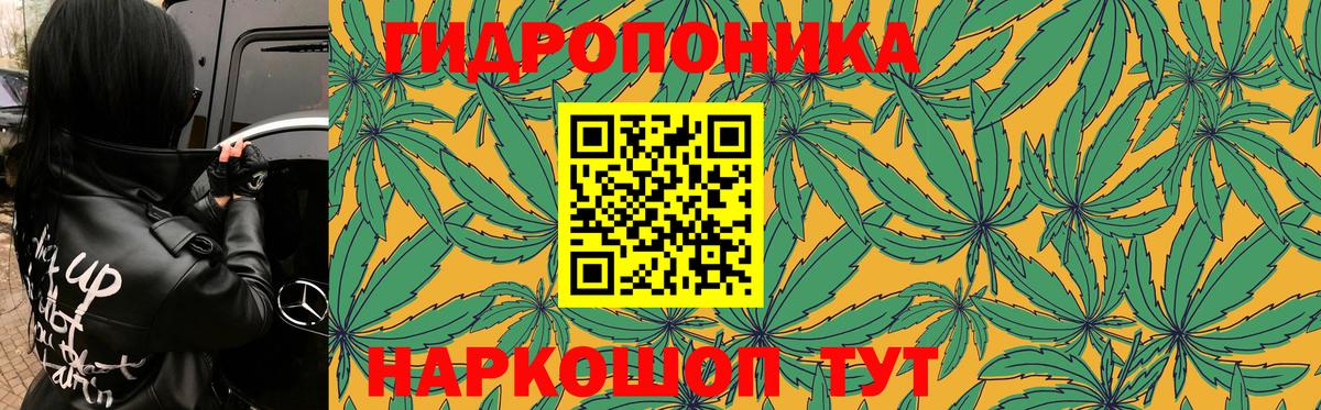 Марихуана гибрид  Вход с VPN  МАРИХУАНА LSD WEED  Чернушка 